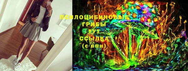 PSILOCYBIN Рославль