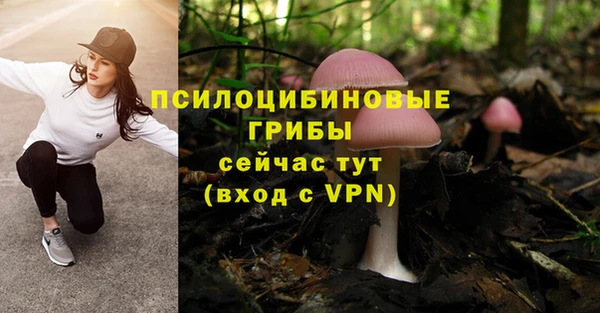 МДПВ Ростов