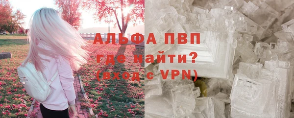 PSILOCYBIN Рославль