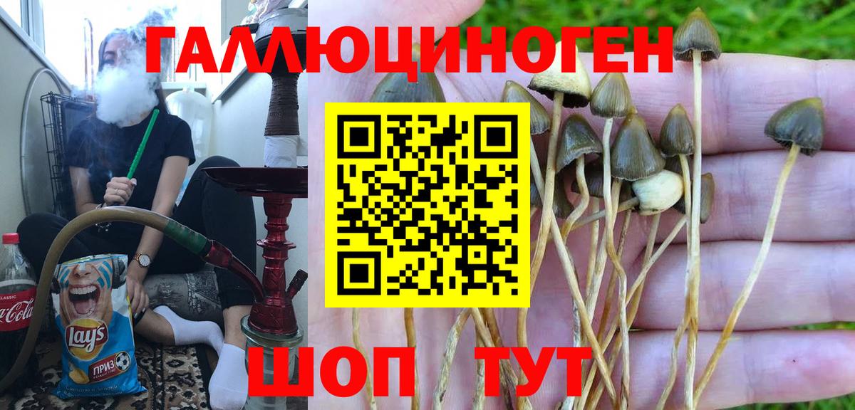 Галлюциногенные грибы мицелий Отрадный